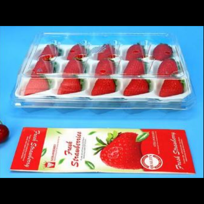 Caja de fresas (15 fresas) 225*120*40 mm cm-15