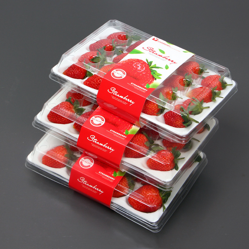 Caja de fresas (20 fresas) 225*120*40 mm cm-20