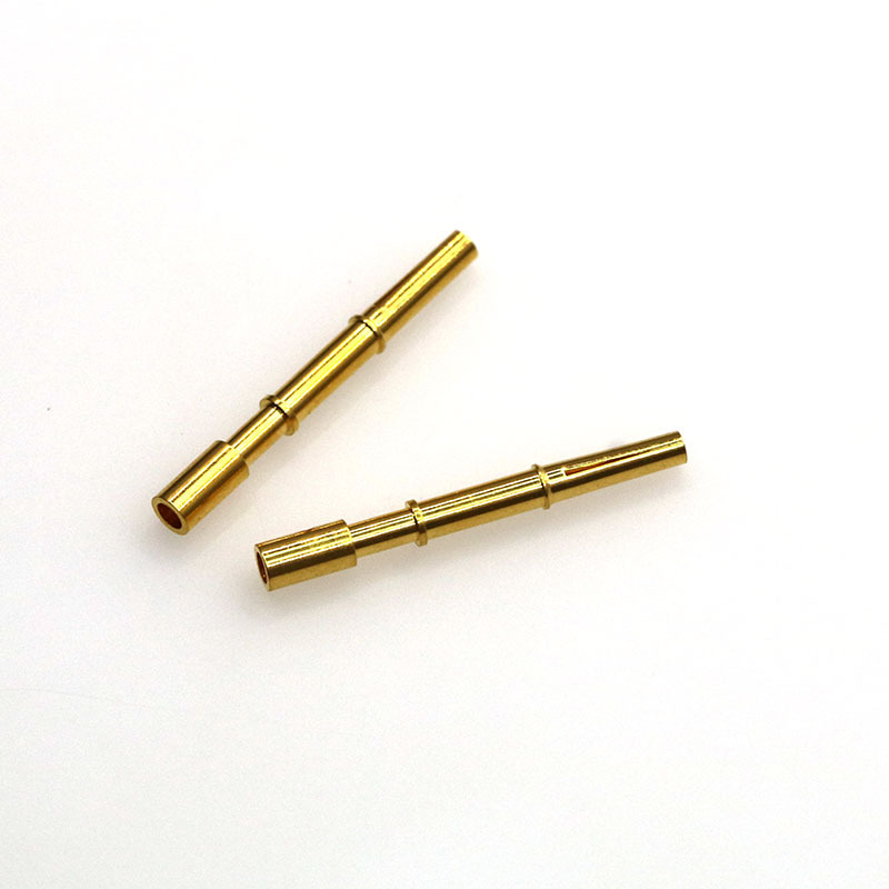 Pin y enchufe del chip