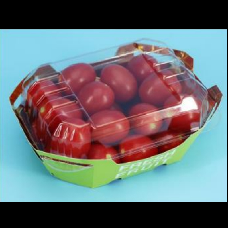 Caja de frutas HGF-T500 500 g