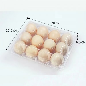 Bandeja de huevo 200*155*65 mm 12 ranuras 3*4
