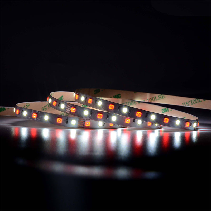 5050 60leds/m rgbw led tira