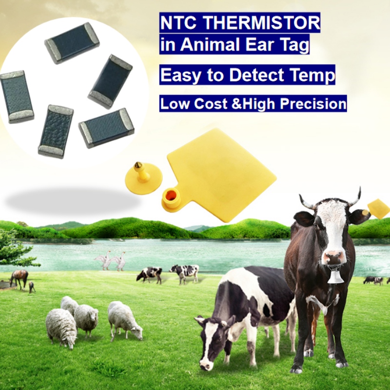 Sensor de temperatura del termistor NTC en la etiqueta de la oreja animal reproducción inteligente