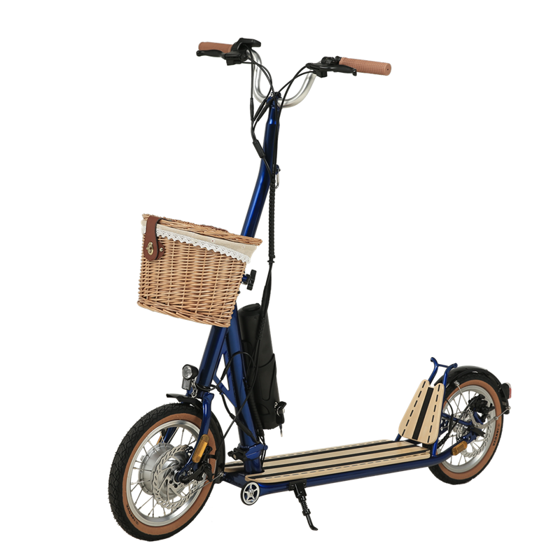 H10- 14 pulgadas de maquanismo doble plegable scooter eléctrico