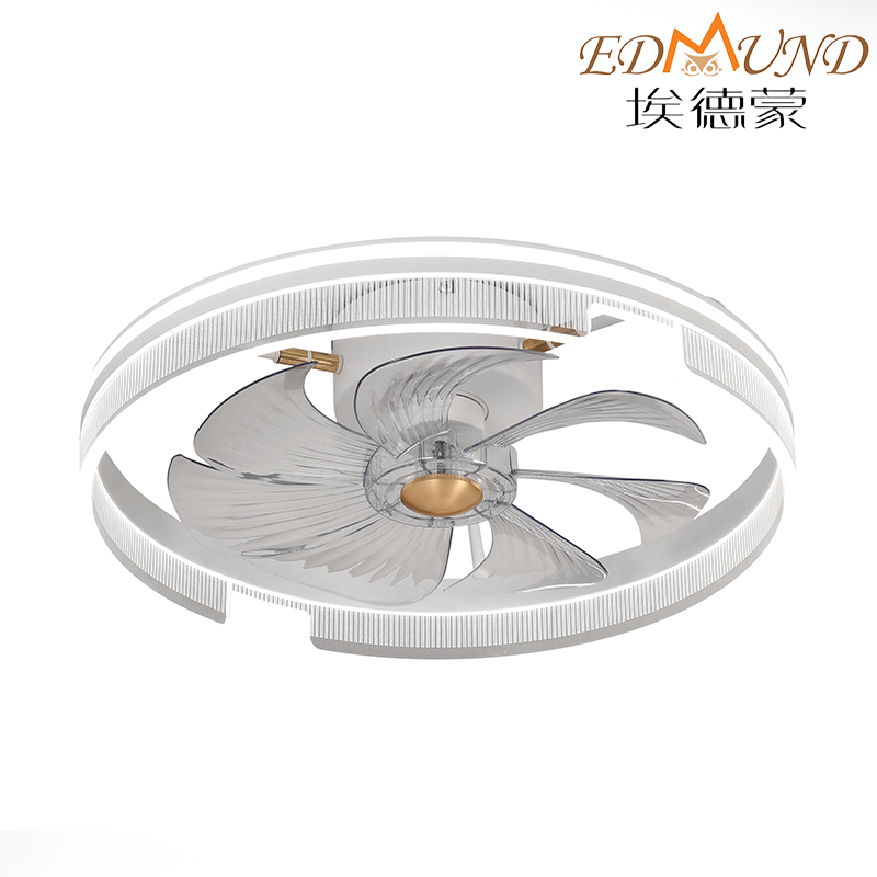 Luz del ventilador de techo C012