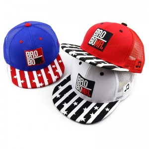 Bordado 3D personalizado Gorras Casquette de hip hop Capas deportivas Gat de béisbol NUEVA CAP VINTAGE ERA A Frame Mesh Snapback Cap
