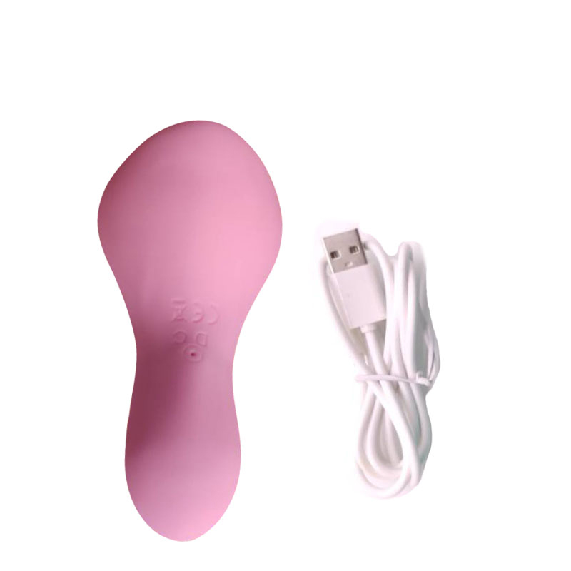 Varita de vibración vibratoria de juguete sexual para adultos (pétalo rosa)
