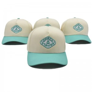 Logotipo de bordado personalizado de 5/6 Panel personalizado
