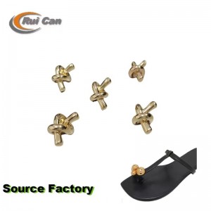 Hebilla de los zapatos