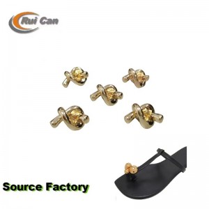 Hebilla de los zapatos