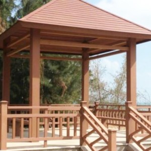 Molde de extrusión de plástico con madera de PE de la ciudad de Huangshi