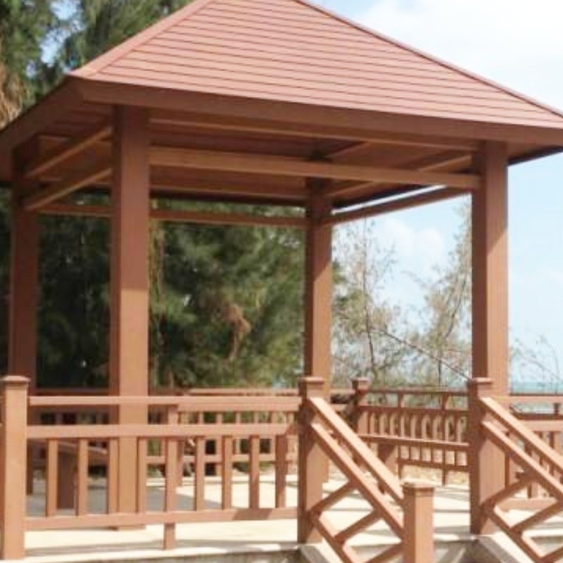 Molde de extrusión de plástico con madera de PE de la ciudad de Huangshi