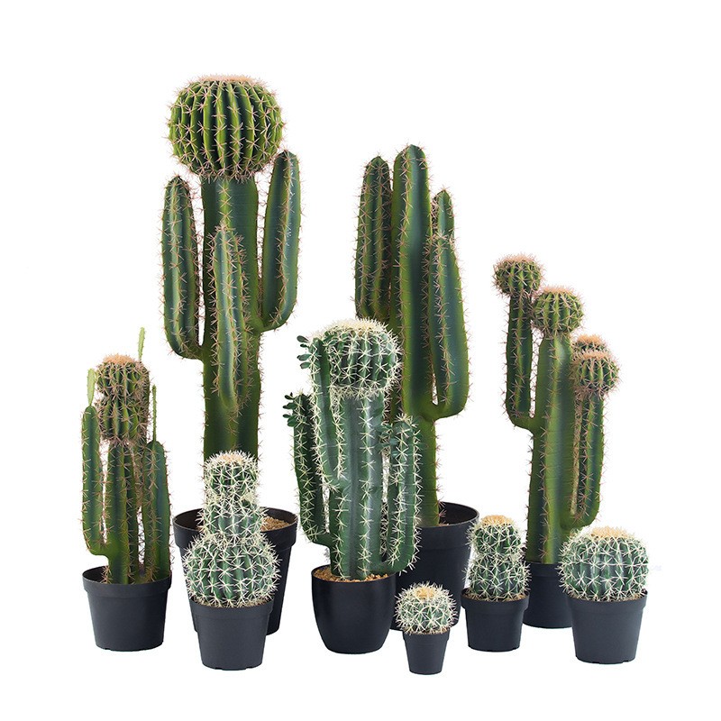 Plantas de cactus artificiales de cactus de gran tamaño personalizado de alta calidad