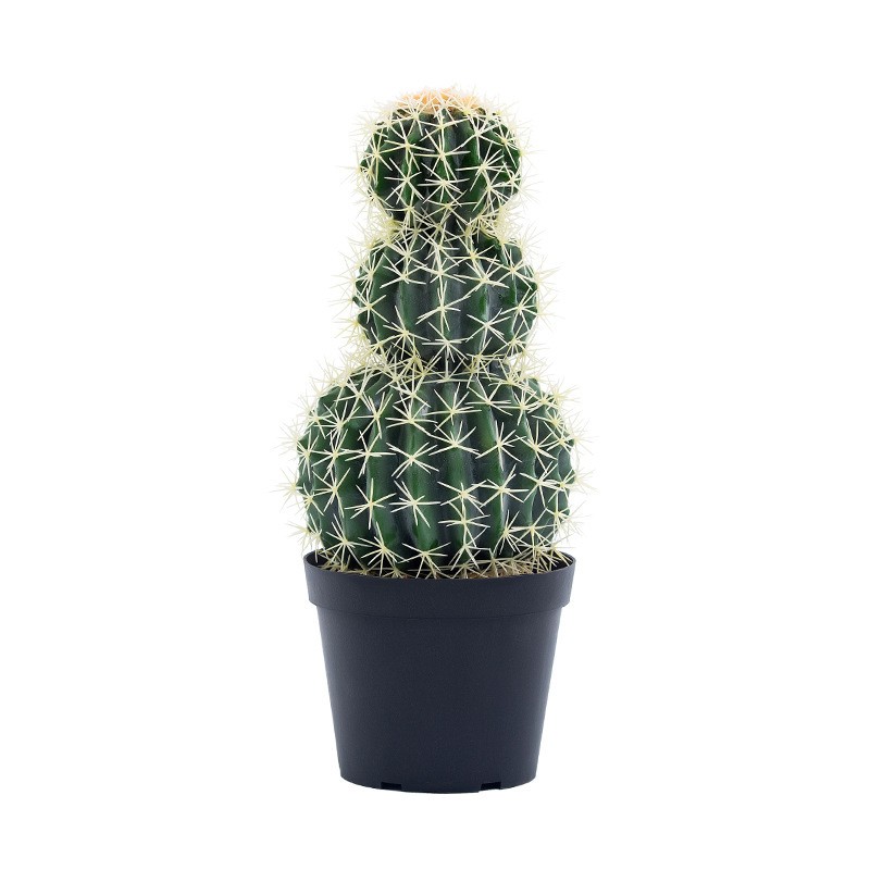 Plantas de cactus artificiales de cactus de gran tamaño personalizado de alta calidad