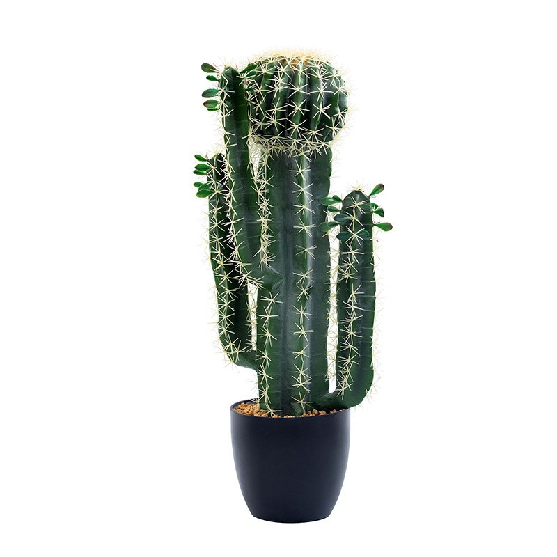 Plantas de cactus artificiales de cactus de gran tamaño personalizado de alta calidad