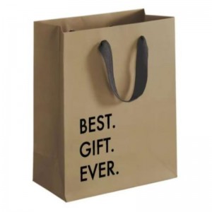 Biodegradable Diseño personalizado Reutilizable Logotipo impreso Brown Kraft Craft Boutique Boutique Paper Bolsas con mango de cinta