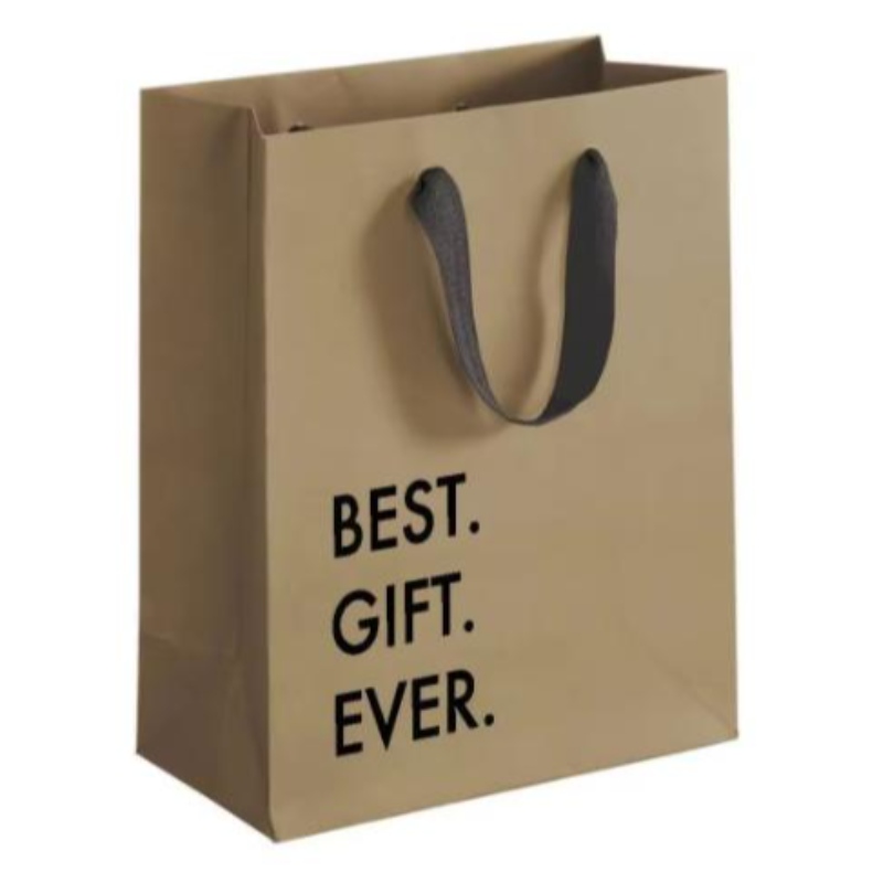 Biodegradable Diseño personalizado Reutilizable Logotipo impreso Brown Kraft Craft Boutique Boutique Paper Bolsas con mango de cinta