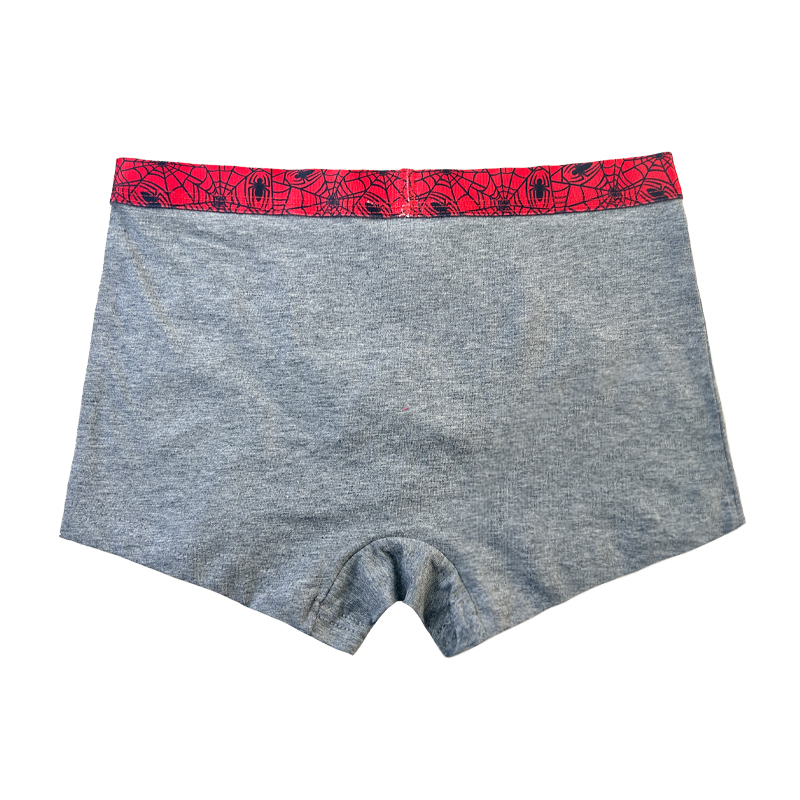 Boy Underpants Spiderman Impresión Contrast Baby Gray Underpants Comfort Basic