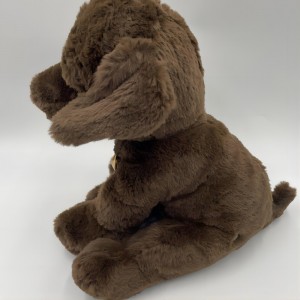 Chocolate marrón labrador labrador perra cachorro