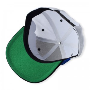 Factory Top Calidad Hot Sale Stock personalizado Su propio logotipo Promocional 6 panel Snapback Sapback Capiture de béisbol Béisbol OEM/ODM