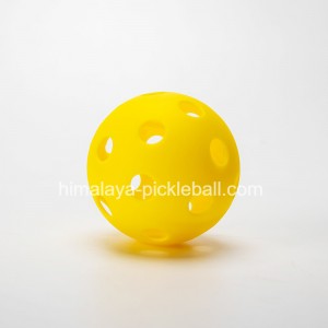 26 agujeros pickleball