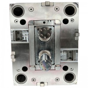 Molde de precisión multicavidad ibi-6