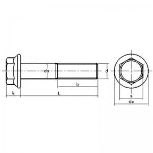 tornillos de cabeza hueca hexagonal de acero inoxidable