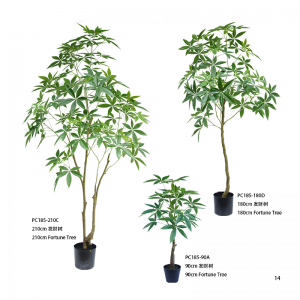 árbol de la fortuna