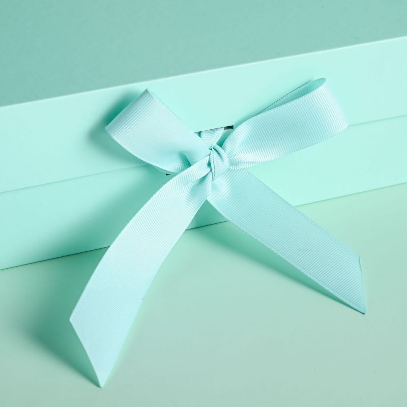 Caja de regalo plegable de elegancia menta