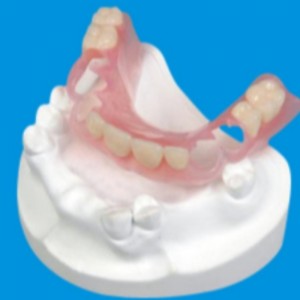Serie de dentaduras acrílicas