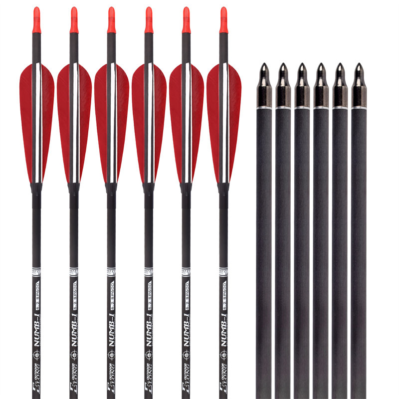 ESPECTÁCULO DE TIRO 2026