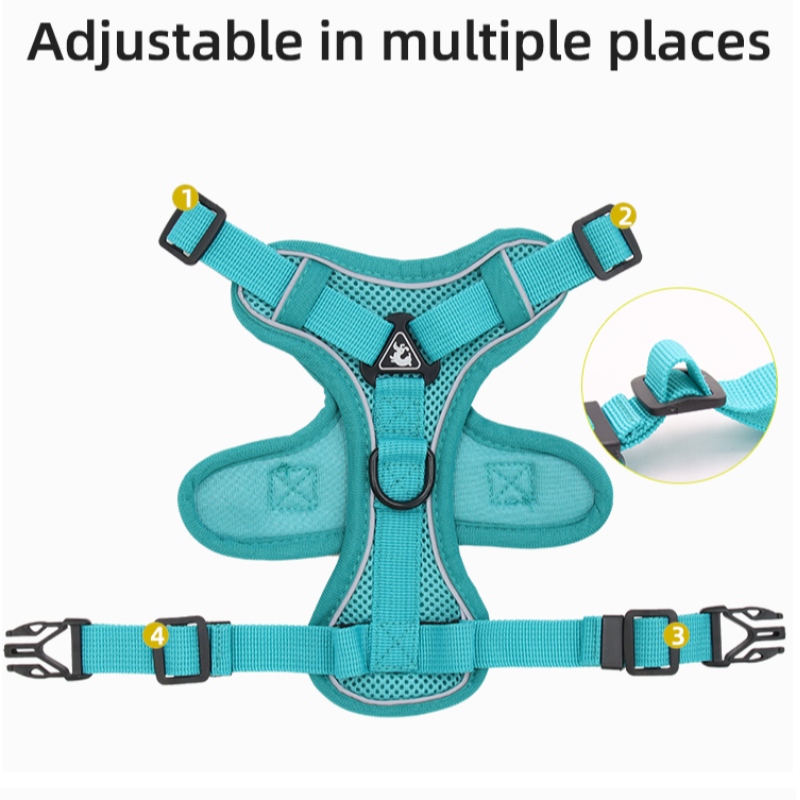 1647787860.jpg dog rope collar.jpg