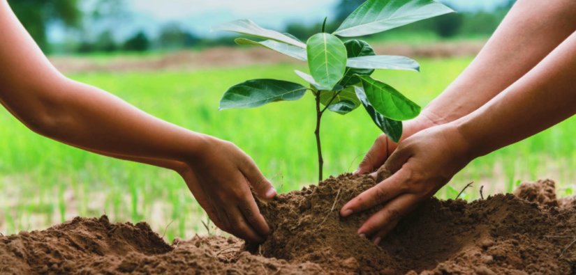 1619079973.png 6f69e88f0d38c040ac15ef5bf54497c.png