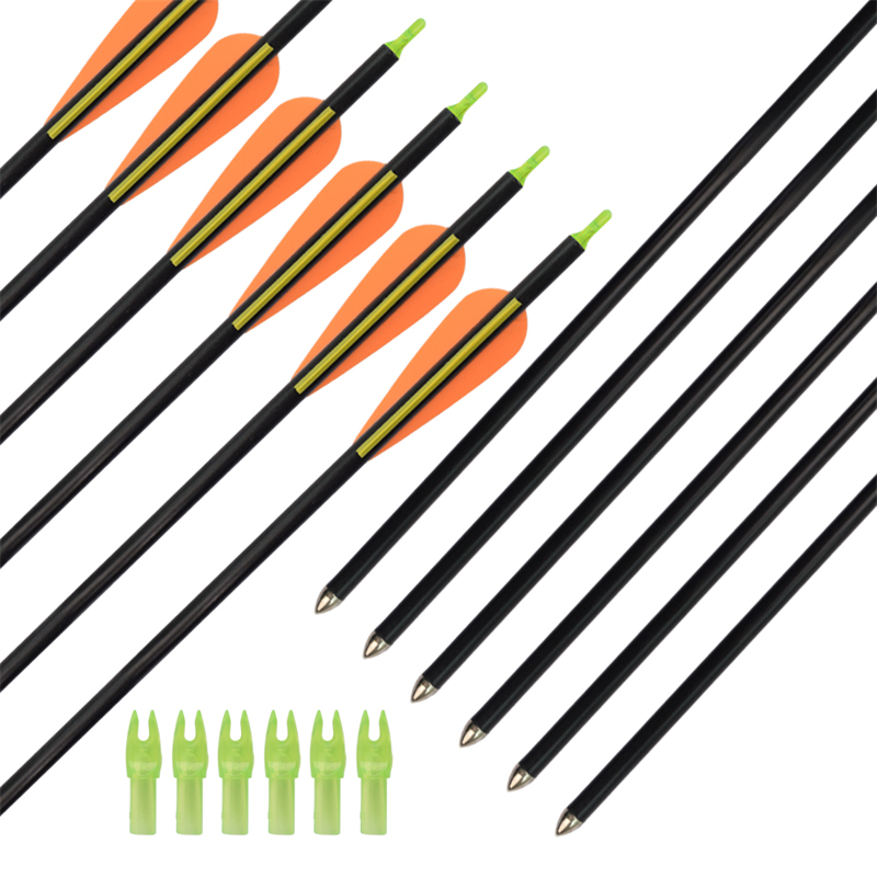 1629168531.jpg 6.jpg