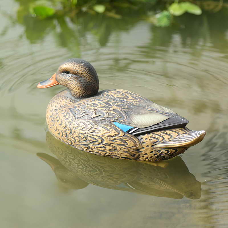 1629336506.jpg duck-5.jpg