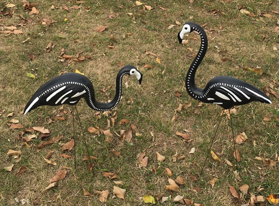 1629421425.jpg Back Flamingo.jpg