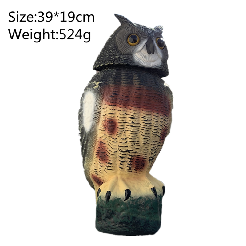 1630743515.jpg owl-6.jpg