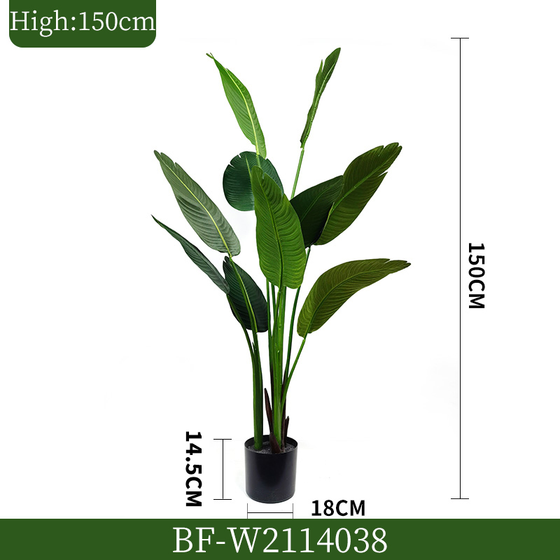 1695883109.jpg BF-W2114038.jpg