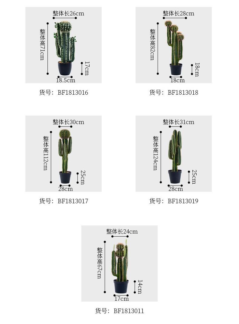 1704439880.jpg O1CN014NP5Ev2IhhGKhEcnk_!!2559919318-0-cib.jpg