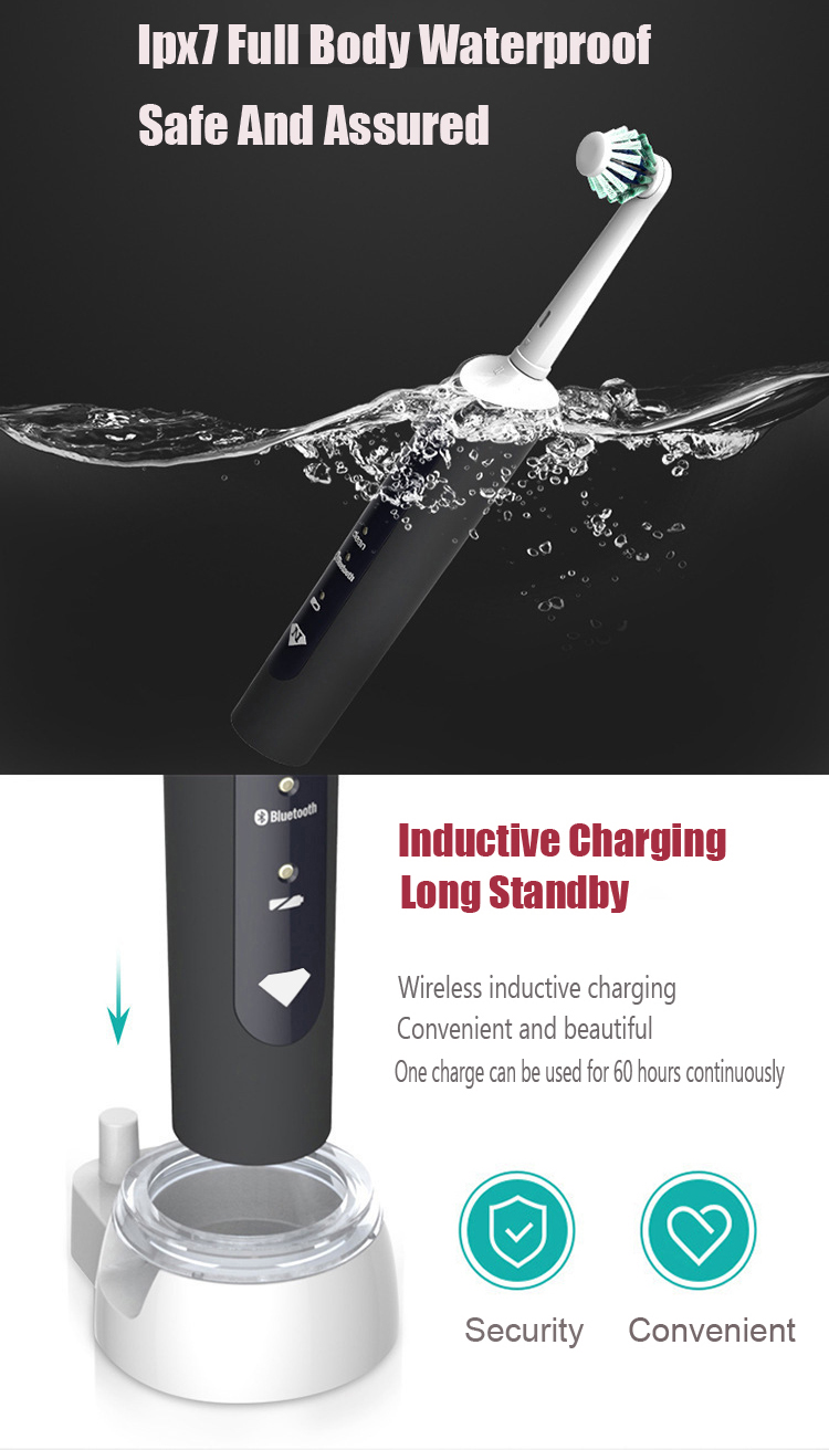 1664336460.jpg 06.jpg