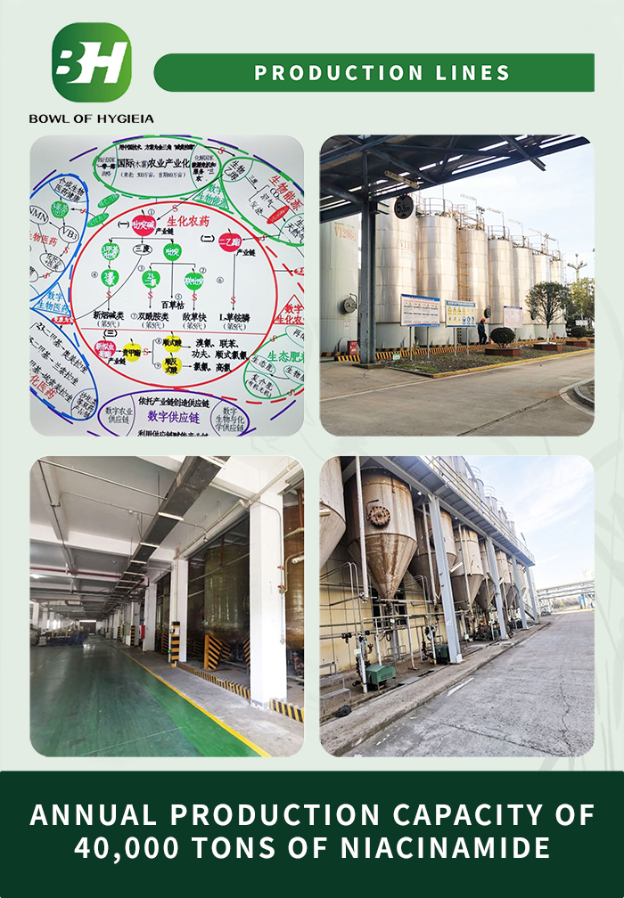 1704266983.jpg 3.jpg