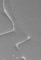 1634093321.png 微信图片_20211012144425.png